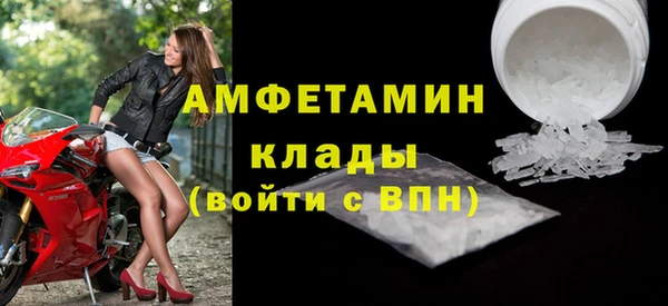 СК Пересвет