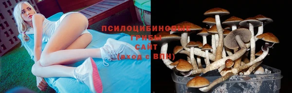 СК Пересвет