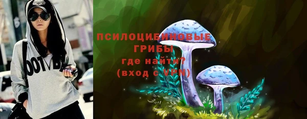 гашик Переславль-Залесский