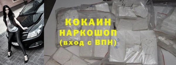 гашик Переславль-Залесский