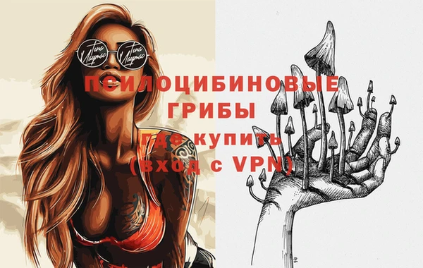 гашик Переславль-Залесский