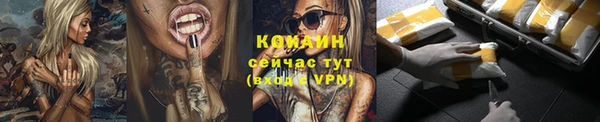 СК Пересвет