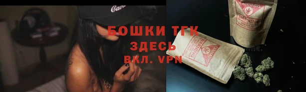 СК Пересвет