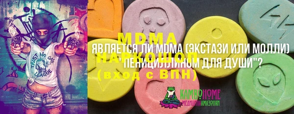 дмт Пестово