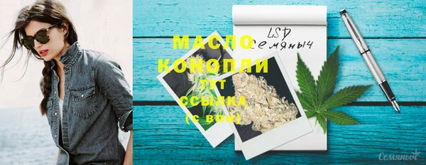 СК Пересвет