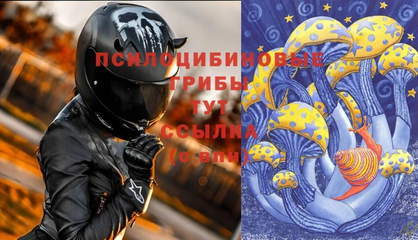 сатива Шали