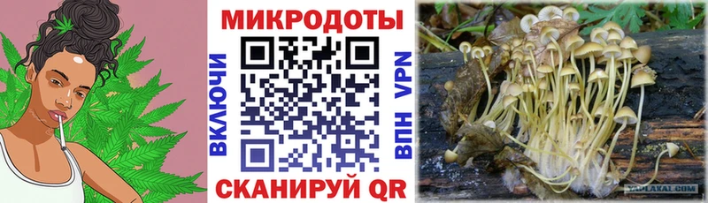 Галлюциногенные грибы GOLDEN TEACHER  купить   Бежецк 